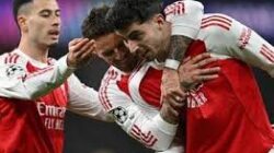 Prestasi Atlet BMX Flatland Junior Internasional Sorotan Medali Dan Rekor Kompetisi