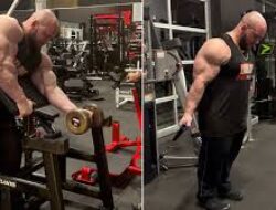 Program Gym Dengan Fokus Full Body Untuk Kebugaran Tubuh Menyeluruh Dan Optimal